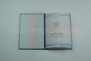 Техникум-колледж